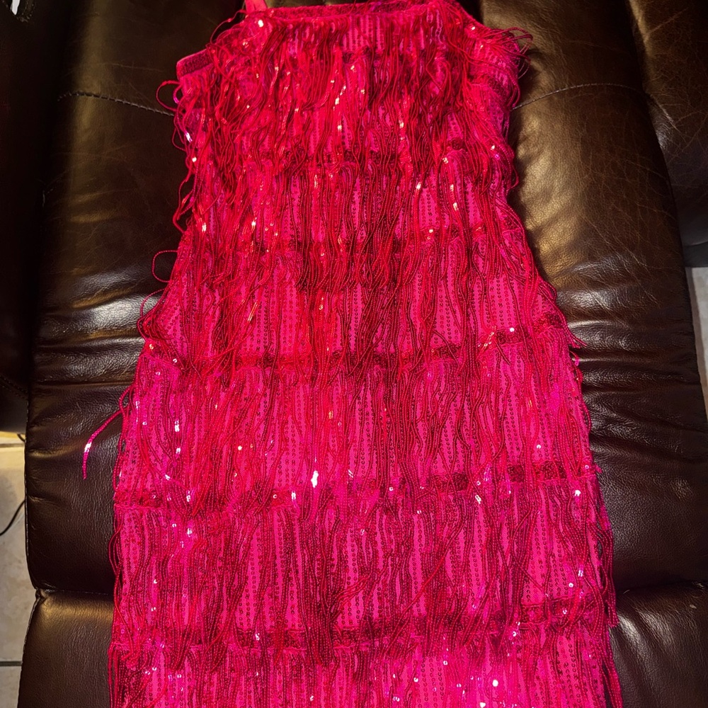 Vibrant Pink Sequin/fringe Dress